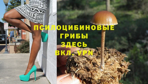 каннабис Щучье