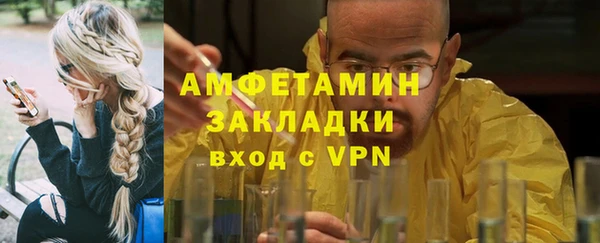 прущие грибы Вязники