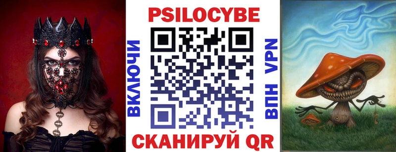 где можно купить наркотик  Выкса  Галлюциногенные грибы GOLDEN TEACHER 