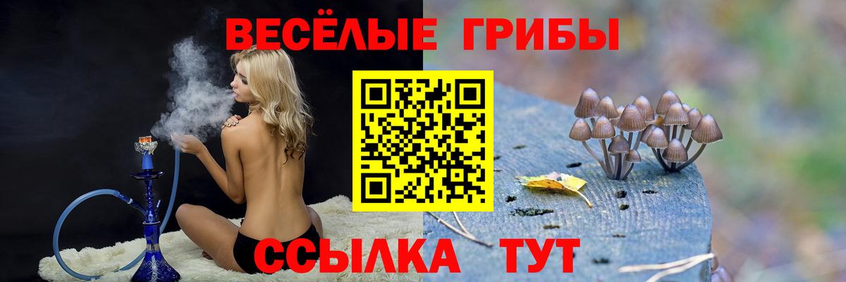 Галлюциногенные грибы Magic Shrooms Выкса